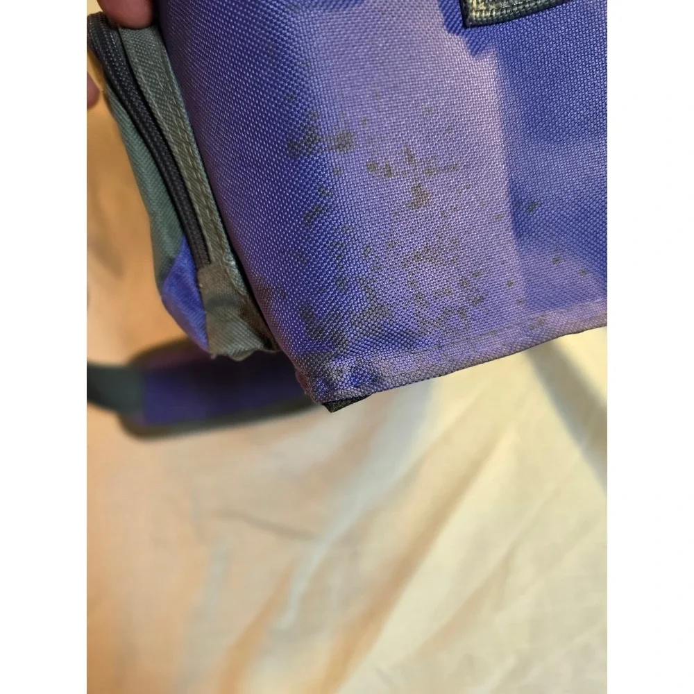 Inner Zero Degrees Insulated Cooler Bag Purple Grey Soft Sided Lunch Travel Tote